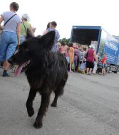 Humanitarian aid for residents of Slavyansk