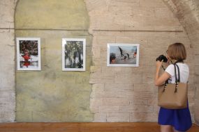 Exhibition "The Army and Navy of Russia"