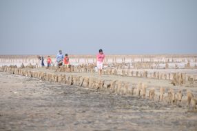 Rose salt lake at the former Genichesk Saltworks plant at Kherson Region