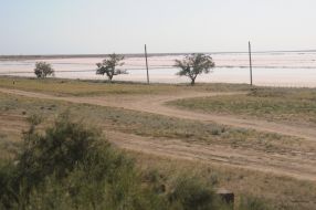 Rose salt lake at the former Genichesk Saltworks plant at Kherson Region