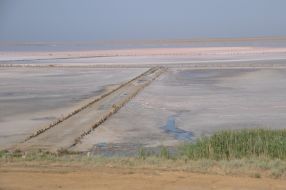 Rose salt lake at the former Genichesk Saltworks plant at Kherson Region