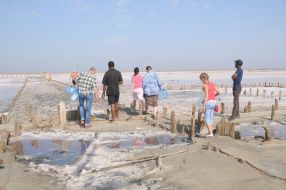 Rose salt lake at the former Genichesk Saltworks plant at Kherson Region