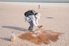 Rose salt lake at the former Genichesk Saltworks plant at Kherson Region