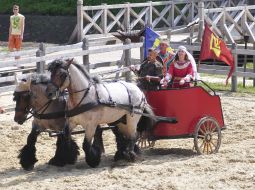 Participants of the festival