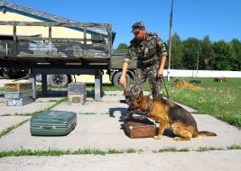 Cynologist with a dog