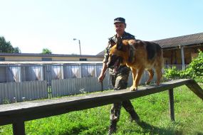 Cynologist with a dog