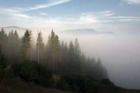 Mountainside in Slavskoe