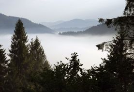 Mountainside in Slavskoe