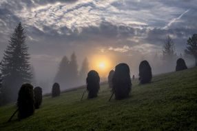 Mountainside in Slavskoe