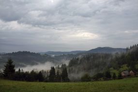 Mountainside in Slavskoe