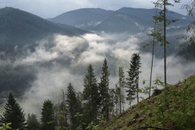 Mountainside in Slavskoe