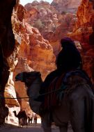 Camel drivers
