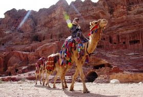 Camel drivers