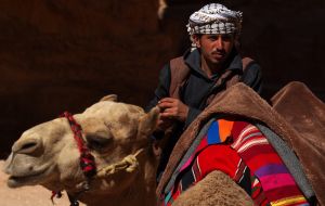 Camel drivers