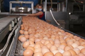 Working visit of the Governor of Mykolayiv region Vadim Merikov