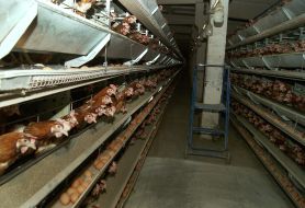 Working visit of the Governor of Mykolayiv region Vadim Merikov