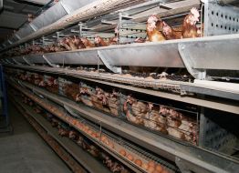 Working visit of the Governor of Mykolayiv region Vadim Merikov