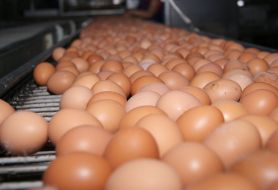 Working visit of the Governor of Mykolayiv region Vadim Merikov