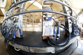 Automated milking systems