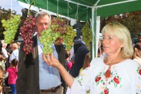 Фестиваль "Свято винограду і вина"