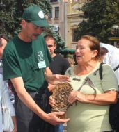 Фестиваль "Свято винограду і вина"