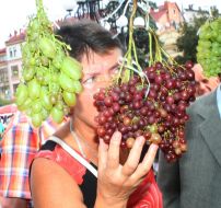 Фестиваль "Свято винограду і вина"