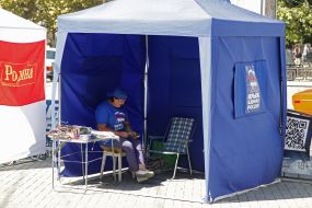 Политическая агитация