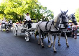 Participants of Horse Drawn Carriage Parade