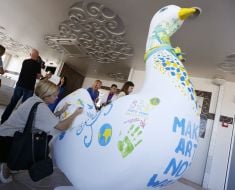 Участники акции "Голубь Мира в Небе"