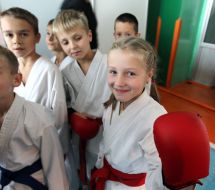 Master Class in kickboxing