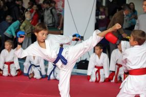 Master Class in kickboxing