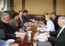 Встреча Юлии Тимошенко с делегацией ЕНП