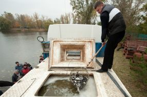 Люди випускають малька