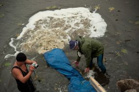 Люди випускають малька