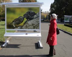 Photo exhibition "Forest stories"