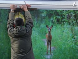 Photo exhibition "Forest stories"