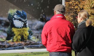 Photo exhibition "Forest stories"