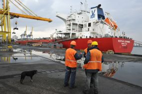 Ship of the South African Republic in the port