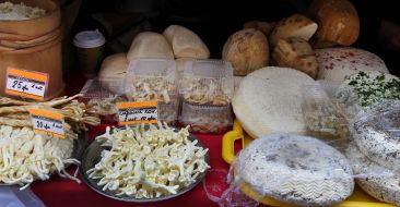 Festival of cheese and wine