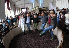 Festival of cheese and wine