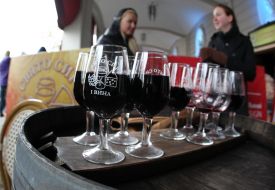 Festival of cheese and wine