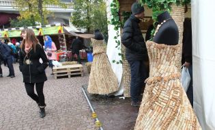 Festival of cheese and wine