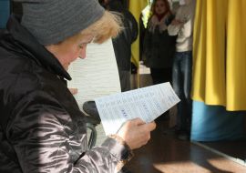 Voting in parliamentary elections 2014