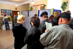 Voting in parliamentary elections 2014