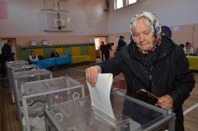 Voting in parliamentary elections 2014