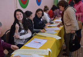 Voting in parliamentary elections 2014