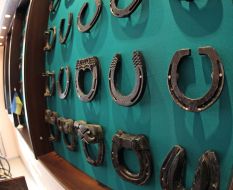 Museum of horseshoes