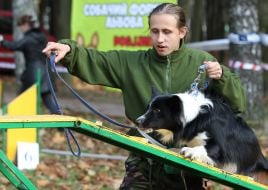Sport Competitions for Dogs «DOG DAYs»