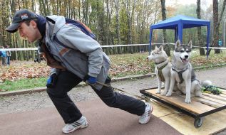 Sport Competitions for Dogs «DOG DAYs»
