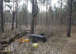 Выездное заседание в Быковне